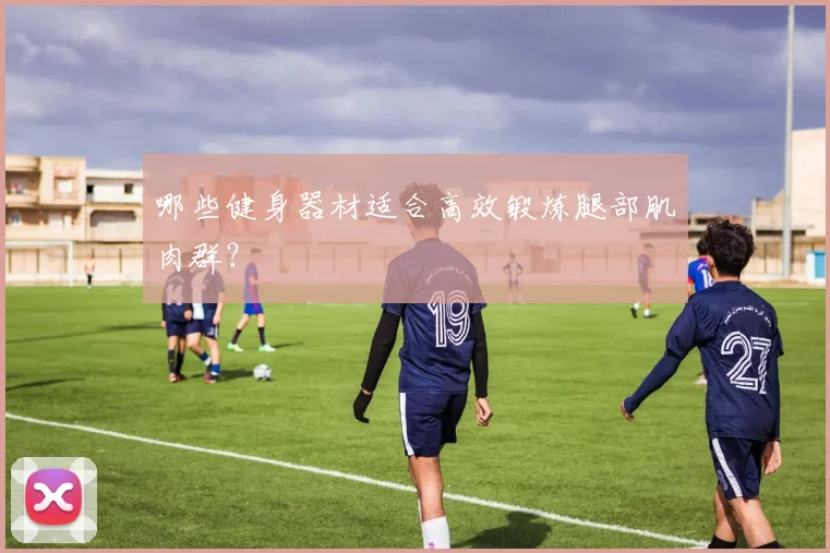 哪些健身器材适合高效锻炼腿部肌肉群？