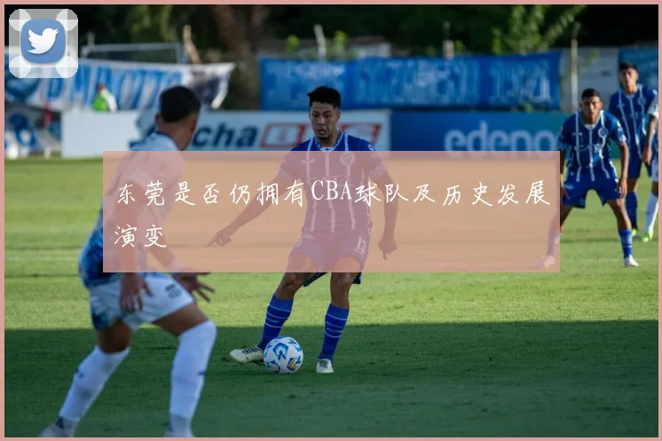 东莞是否仍拥有CBA球队及历史发展演变