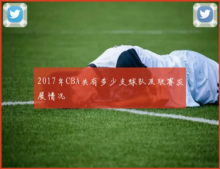 2017年CBA共有多少支球队及联赛发展情况